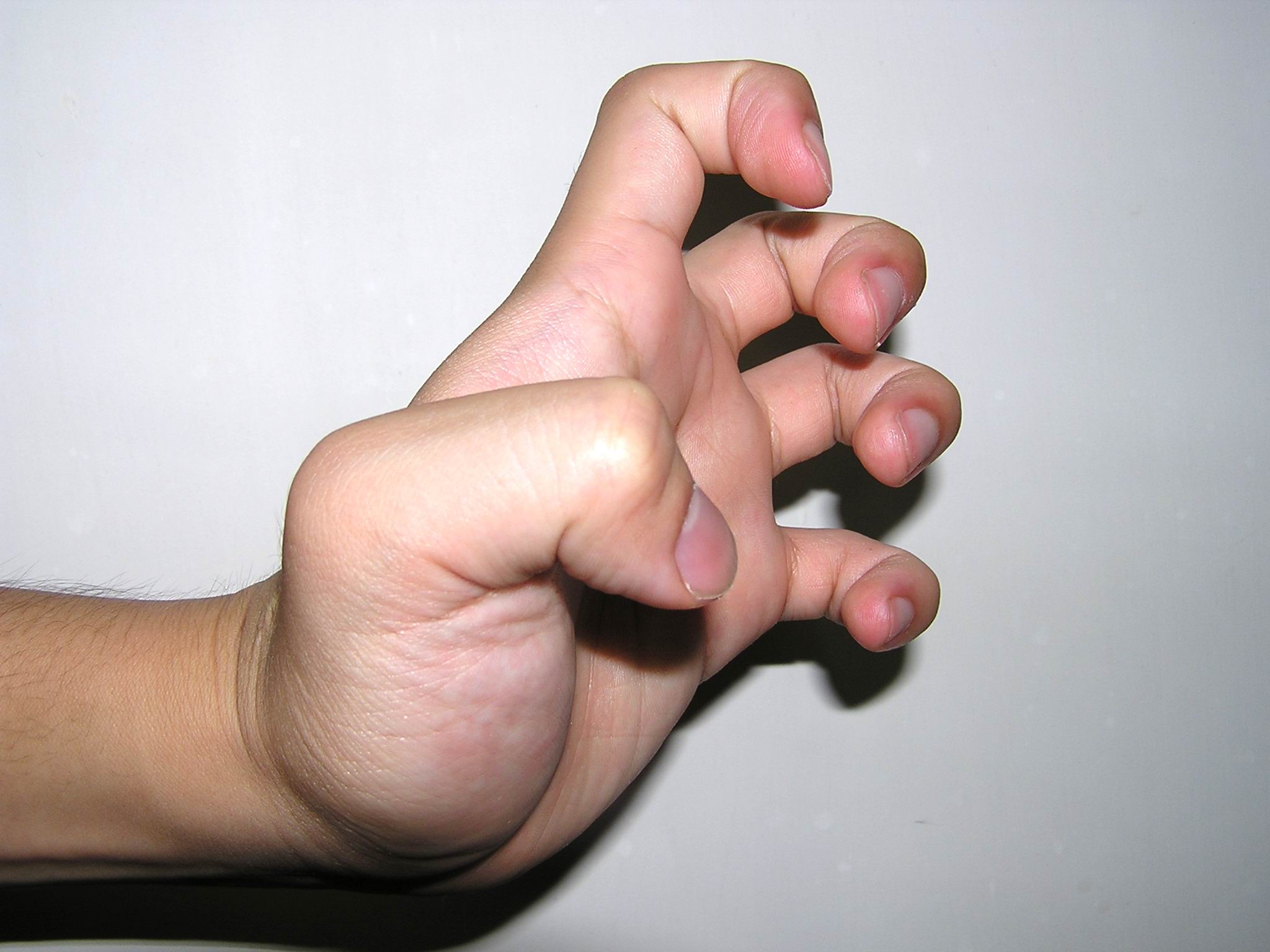 武術詞語：「爪」是什麼